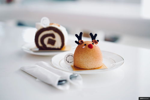 「云吃团」圣诞特辑 镜头下的甜蜜盛宴，唤醒你的节日味蕾