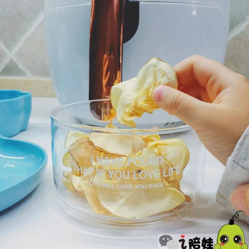 轻松减油十倍！空气炸锅 孩子饮食健康的智能小助手